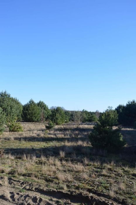 Działka budowlana Gąsiorowo. Zdjęcie 6