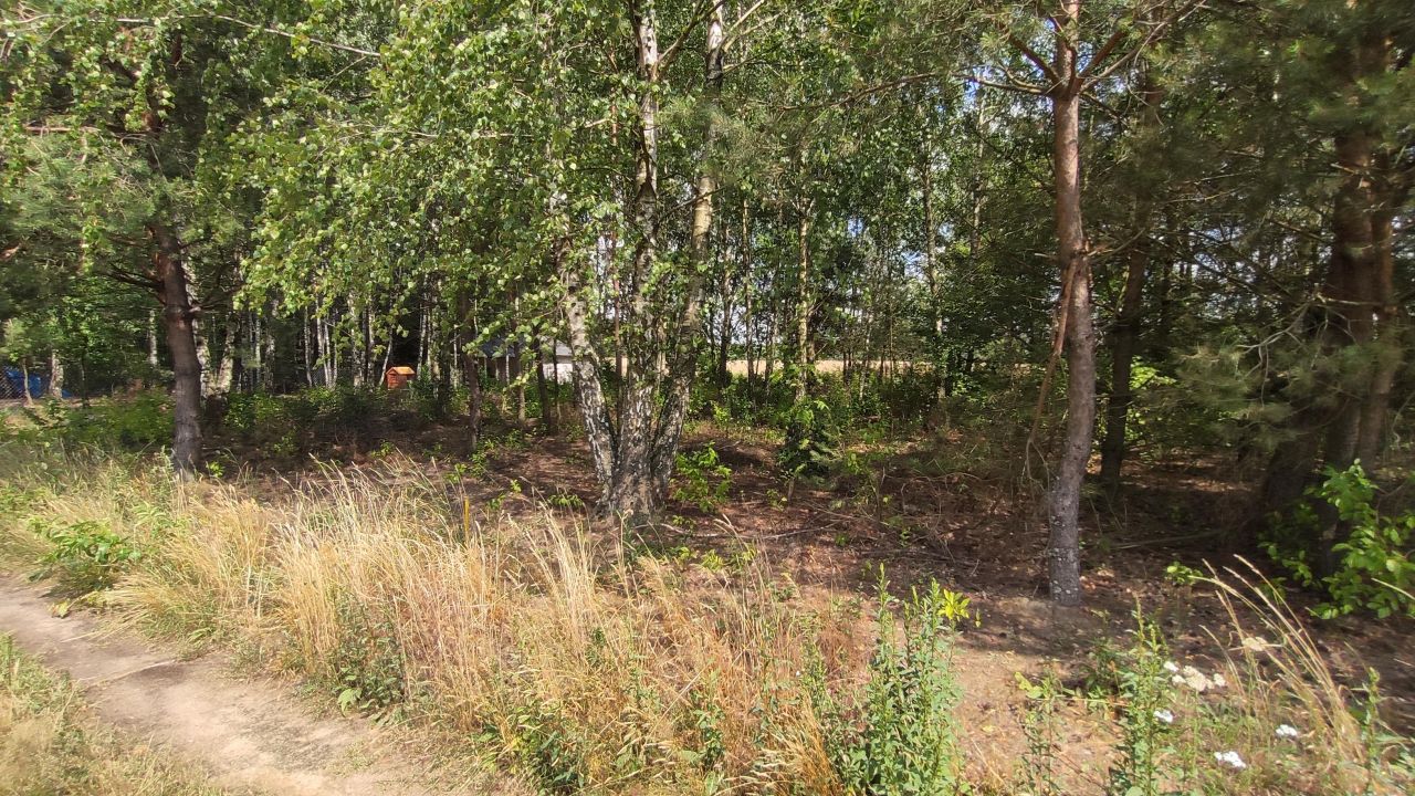 Działka budowlana Henrykowo. Zdjęcie 7