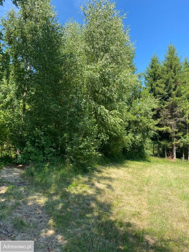 Działka rolna Ropienka. Zdjęcie 6