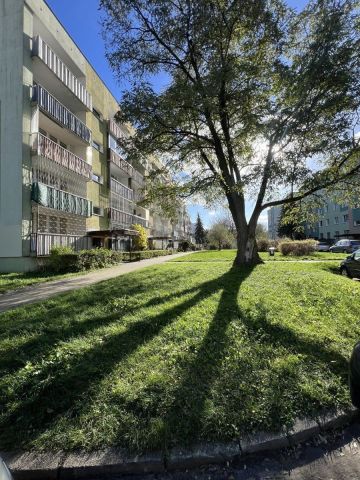 Mieszkanie 2-pokojowe Łódź Chojny, ul. Strzelecka. Zdjęcie 12