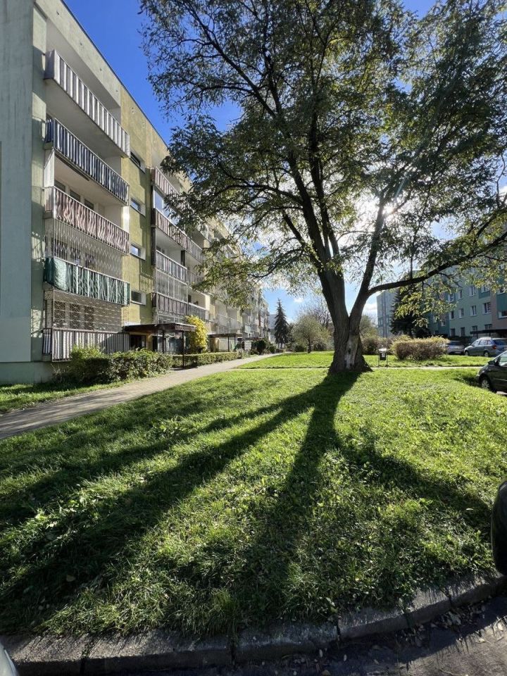 Mieszkanie 2-pokojowe Łódź Chojny, ul. Strzelecka. Zdjęcie 12