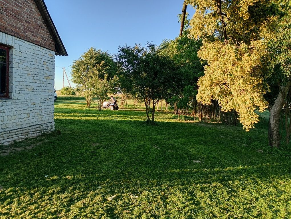 Działka siedliskowa Kozice Dolne-Kolonia. Zdjęcie 8