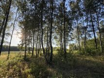 Działka budowlana Wódka, ul. Jęczmienna. Zdjęcie 3