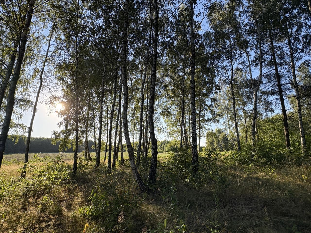 Działka budowlana Wódka, ul. Jęczmienna. Zdjęcie 4