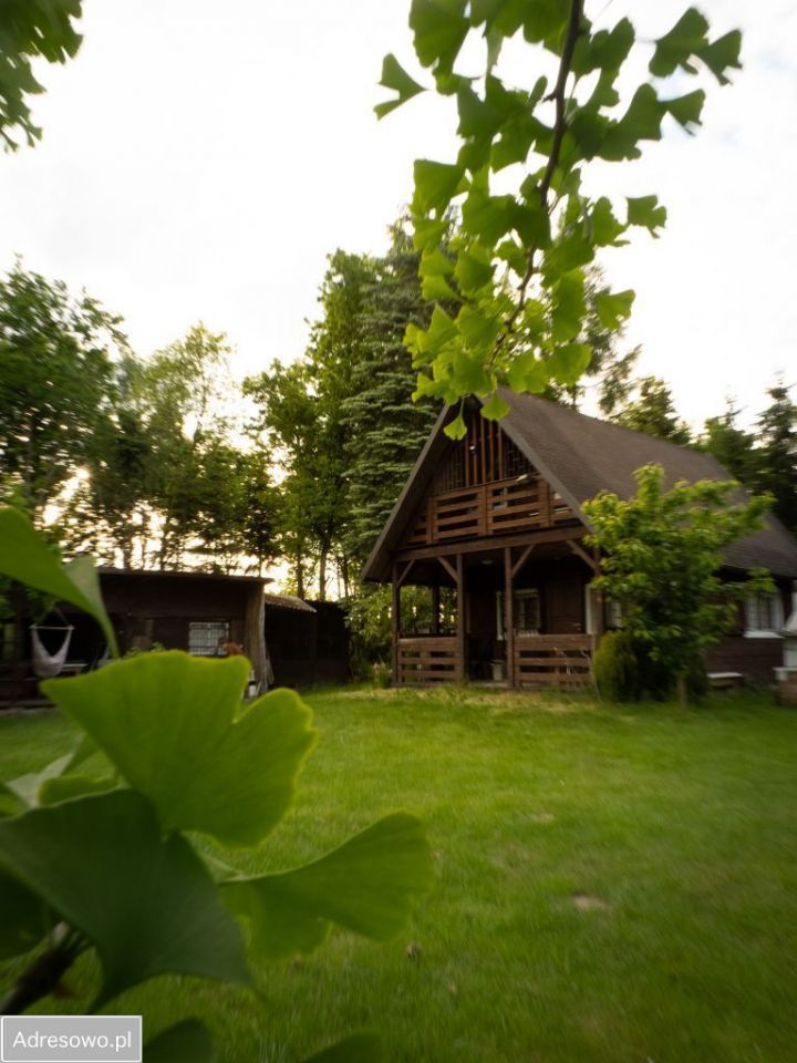 Działka siedliskowa Kalinów. Zdjęcie 9