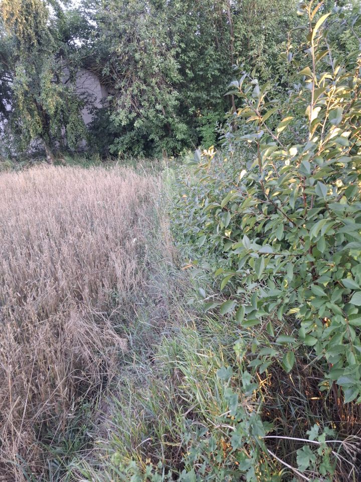 Działka rolno-budowlana Pęchratka Polska. Zdjęcie 5