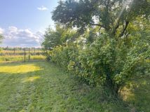 Działka rod Zamość, ul. Aleksandra Fredry. Zdjęcie 4