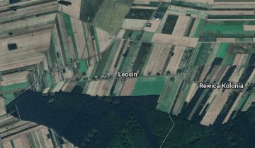 Działka rolna Leosin