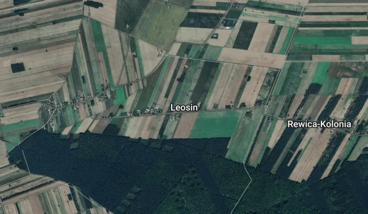 Działka rolna Leosin