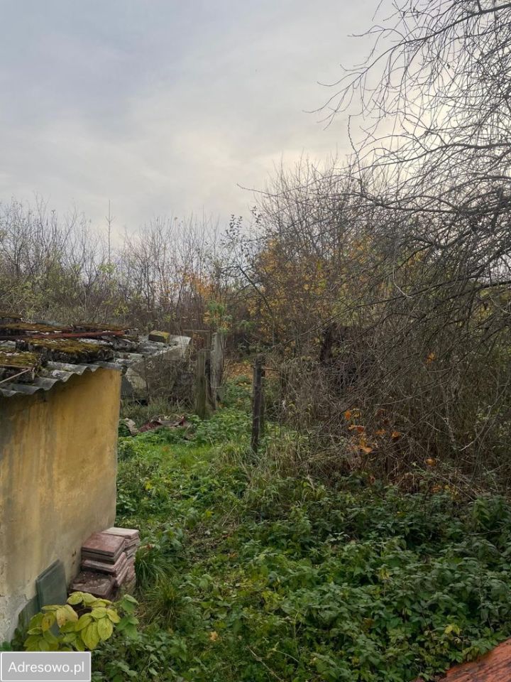 bliźniak, 2 pokoje Jędrzejów, ul. Okrzei. Zdjęcie 3