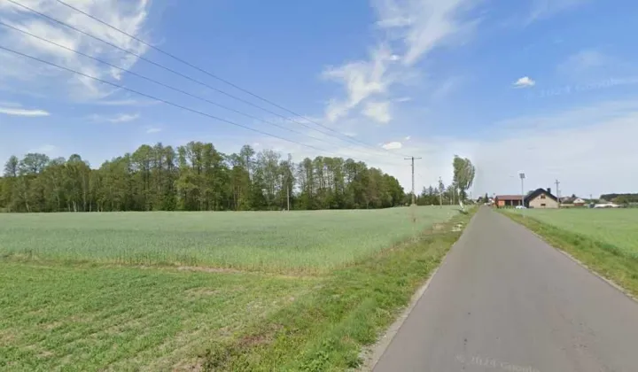 Działka budowlana Zalesie