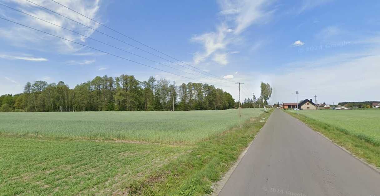 Działka budowlana Zalesie. Zdjęcie 1