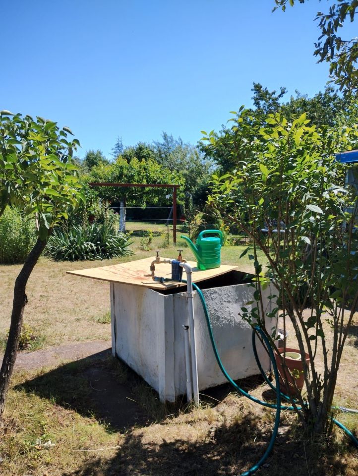 Działka rod Żary. Zdjęcie 5