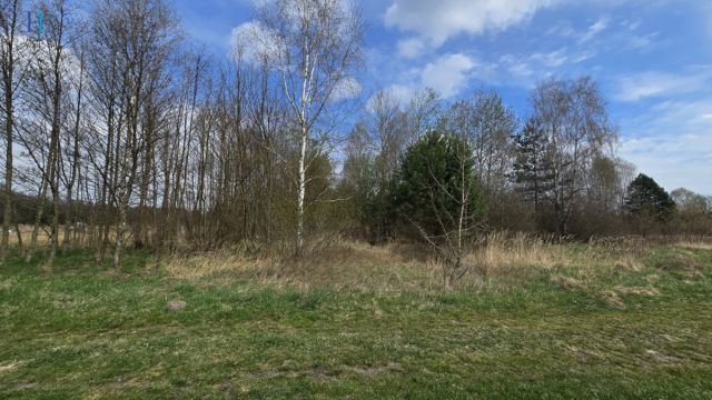 dom wolnostojący, 2 pokoje Dęba. Zdjęcie 13