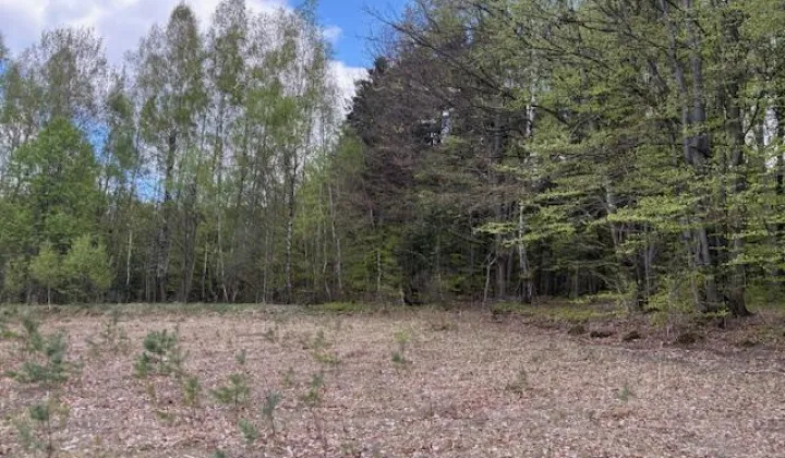 Działka budowlana Siodła