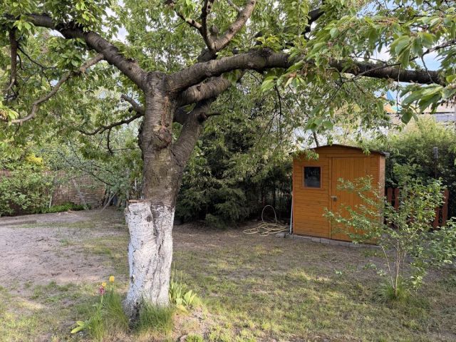 Działka rod Chorzów. Zdjęcie 1