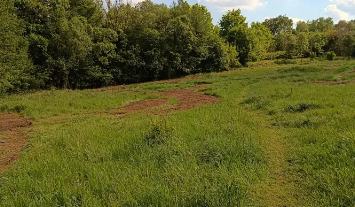 Działka budowlana Bielsko-Biała Stare Bielsko, ul. Obfita