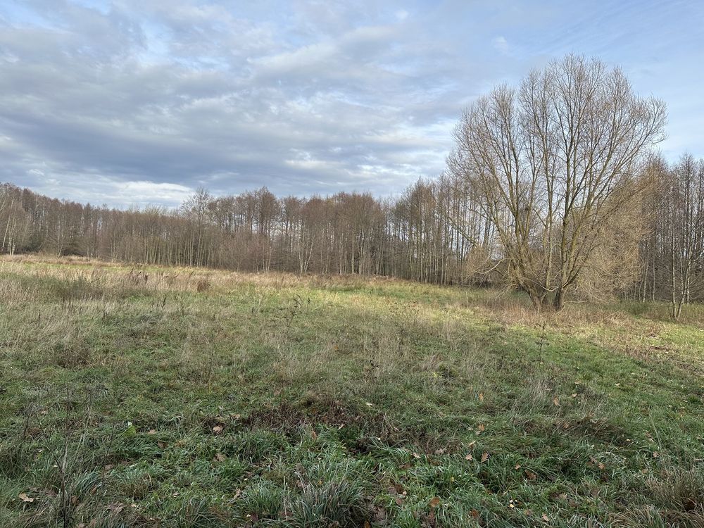 Działka rolna Policzna