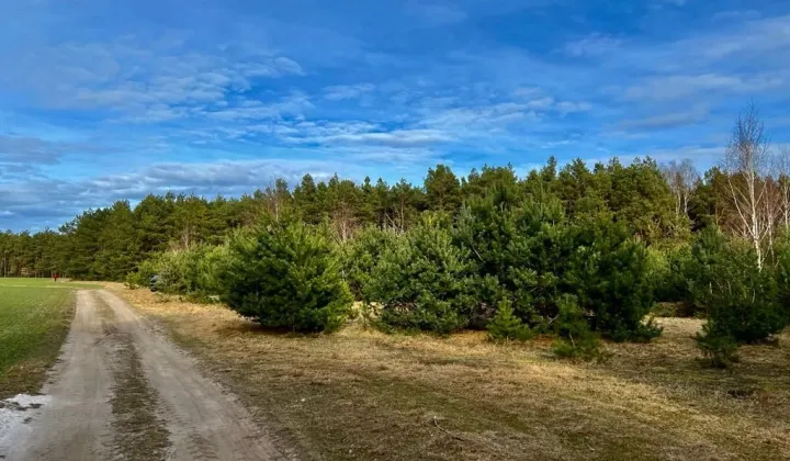 Działka rolna Będzeń