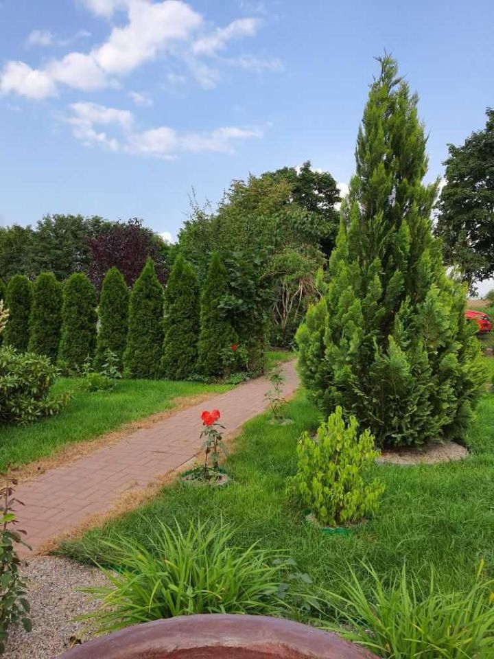 Działka rod Szamotuły. Zdjęcie 4