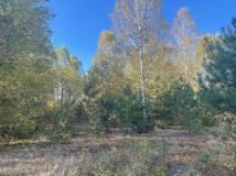 Działka budowlana Żabieniec. Zdjęcie 3