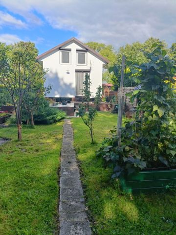 Działka rod Mrzeżyno, ul. Kasztanowa. Zdjęcie 1