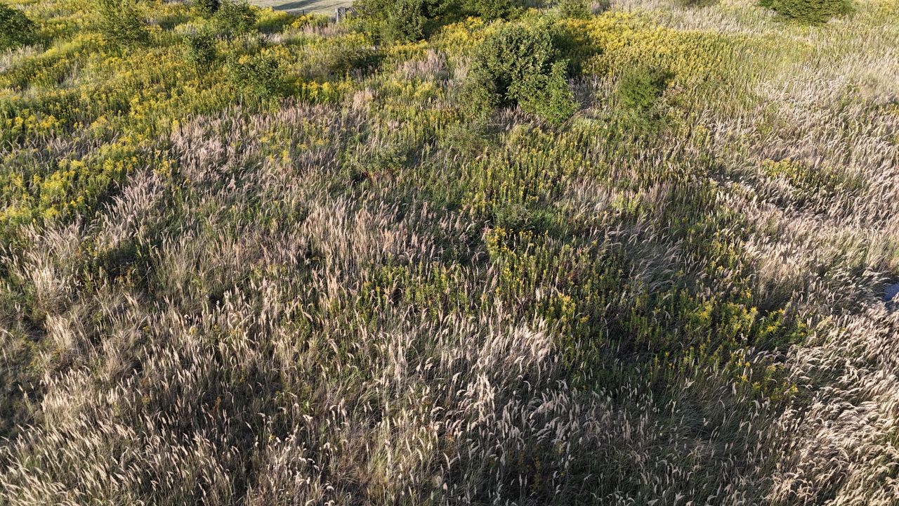 Działka rolna Opacz-Kolonia, ul. Zofii. Zdjęcie 5