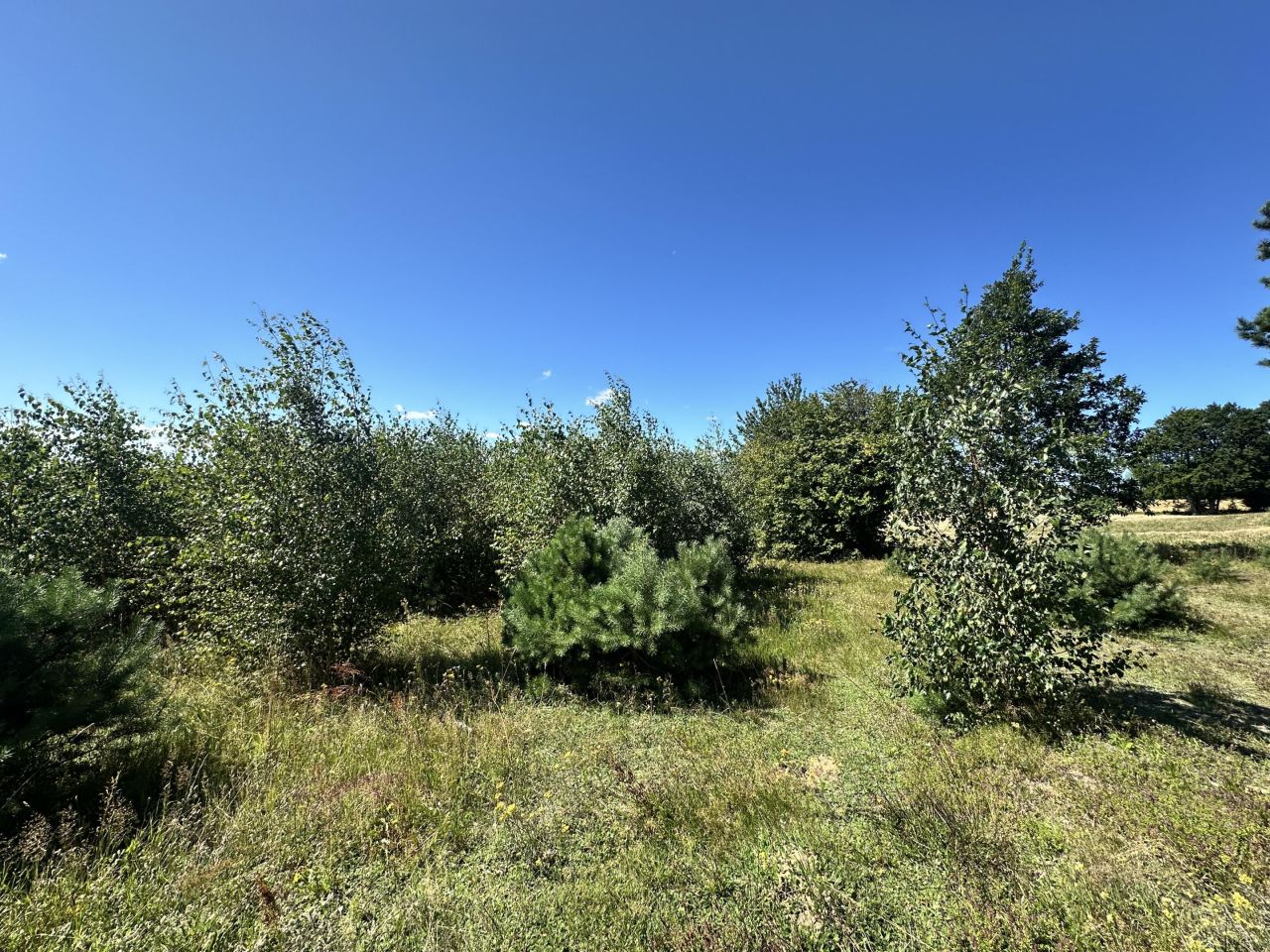 Działka budowlana Czeczewo, ul. Akacjowa. Zdjęcie 4