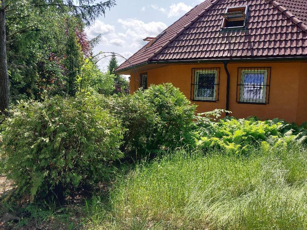 dom wolnostojący, 6 pokoi Skorzewo