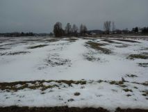 Działka budowlana Ruda Wołoska, ul. Polna. Zdjęcie 2