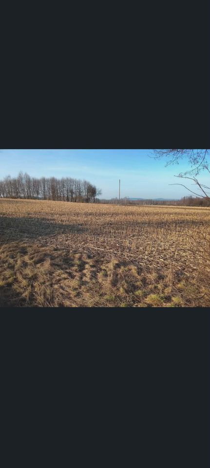 Działka inwestycyjna Zator Podlipki, ul. Aleja 1 Maja. Zdjęcie 4