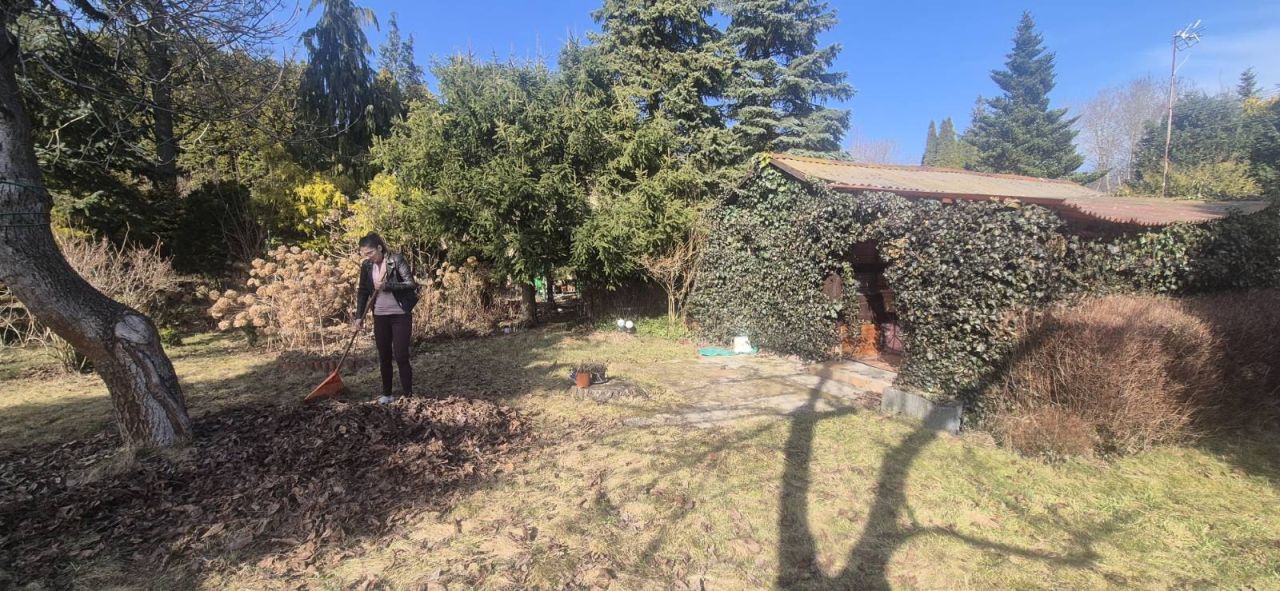 Działka rod Wrząca, ul. Wrzosowa. Zdjęcie 16