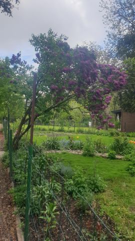 Działka rod Warszawa Marymont, ul. Klaudyny. Zdjęcie 13