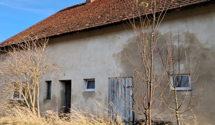 Hala/magazyn Młodzianów