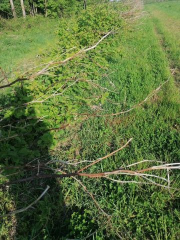 Działka budowlana Karczmiska Pierwsze Karczmiska, ul. Pogodna. Zdjęcie 1