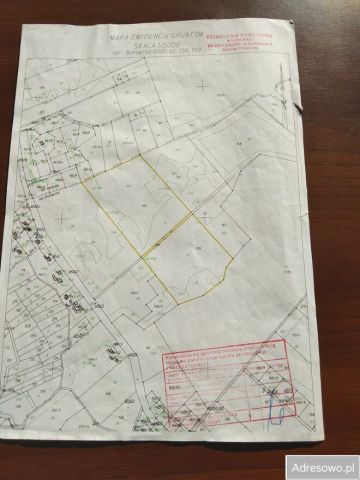 Działka leśna Bukowina. Zdjęcie 1