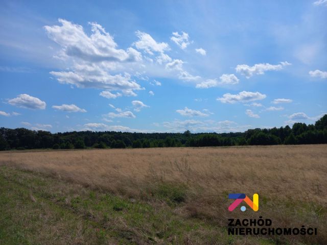 Działka budowlana Zabór. Zdjęcie 5