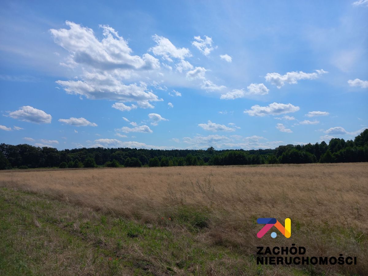 Działka budowlana Zabór. Zdjęcie 5