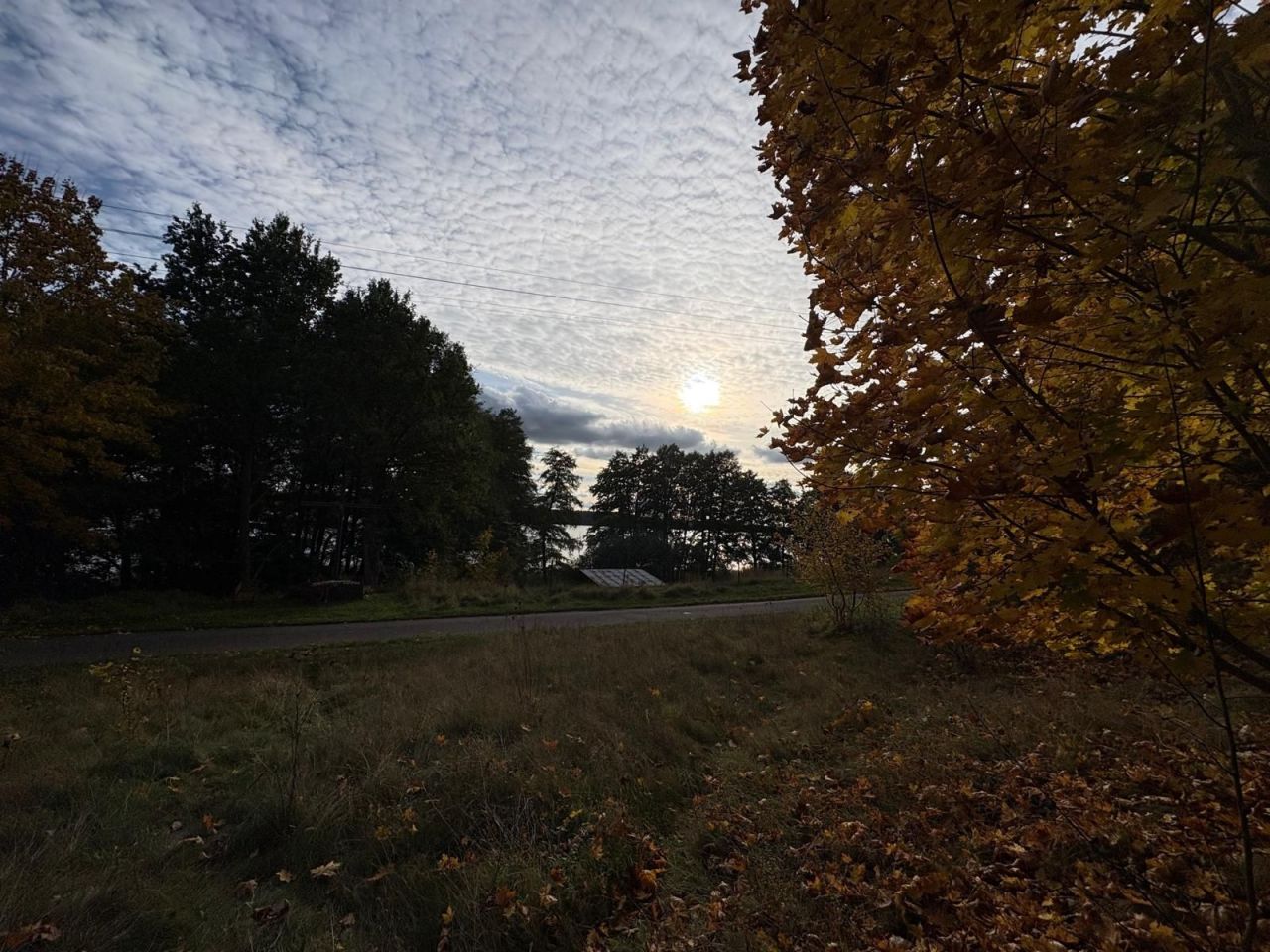 Działka budowlana Dąbrowica. Zdjęcie 2