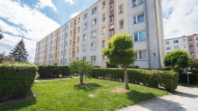 Mieszkanie 3-pokojowe Elbląg, ul. Lotnicza. Zdjęcie 14