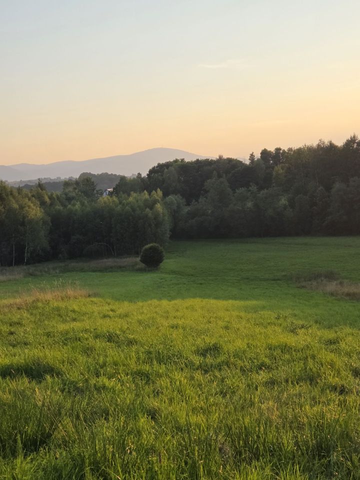 Działka rolna Gilowice. Zdjęcie 3