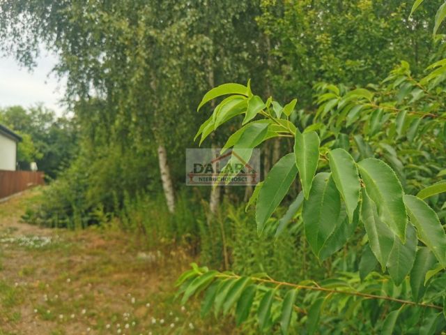 Działka budowlana Czachówek. Zdjęcie 1