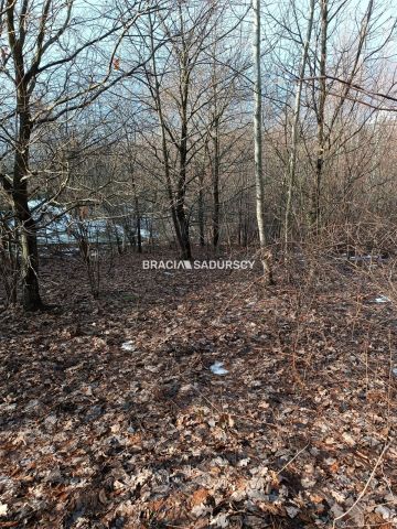 Działka inwestycyjna Czarnochowice. Zdjęcie 3