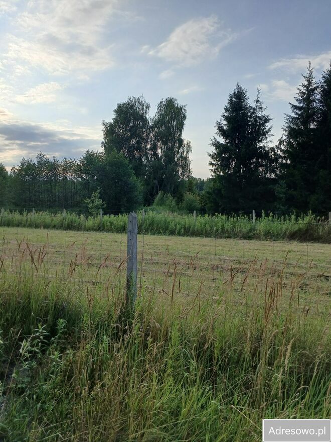 Działka budowlana Chojnów. Zdjęcie 5