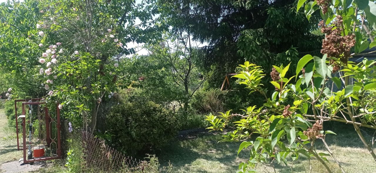 Działka rod Łódź Widzew, ul. Lodowa. Zdjęcie 22