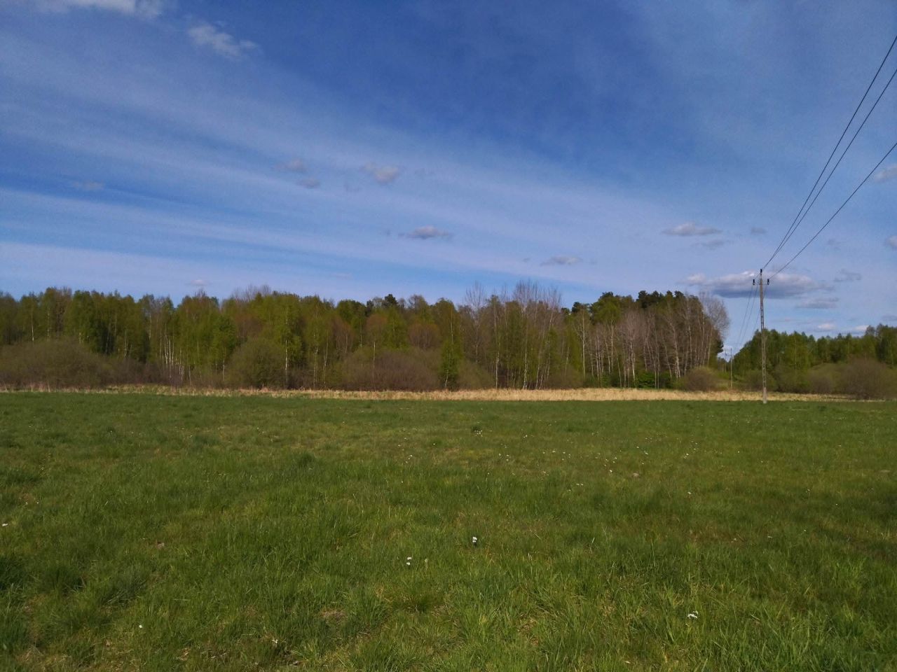 Działka budowlana Wielimowo. Zdjęcie 16