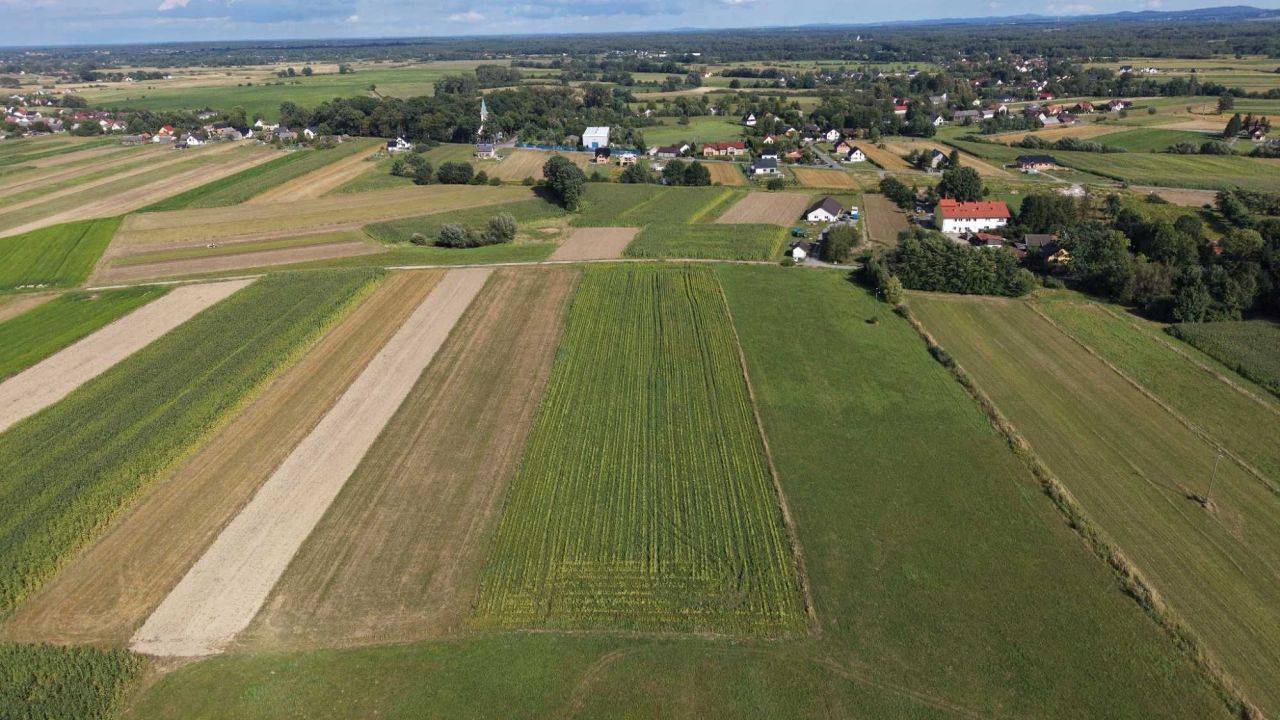 Działka rolno-budowlana Gawłów. Zdjęcie 4
