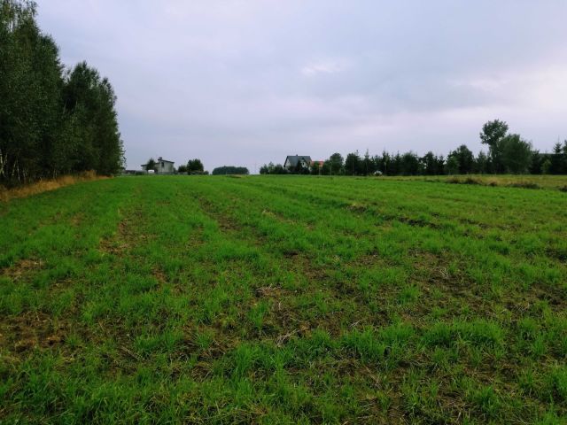 Działka rolno-budowlana Pawłowice. Zdjęcie 1