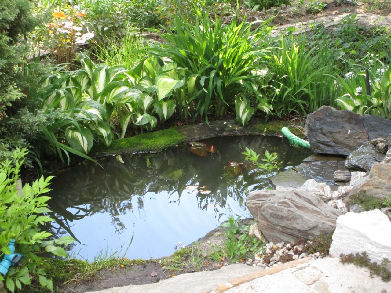 Działka rod Gdańsk Brętowo, ul. Wołkowyska. Zdjęcie 6