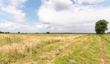 Działka rolna Rurzyca, ul. Łąkowa